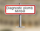 Diagnostic plomb AC Environnement à Miribel